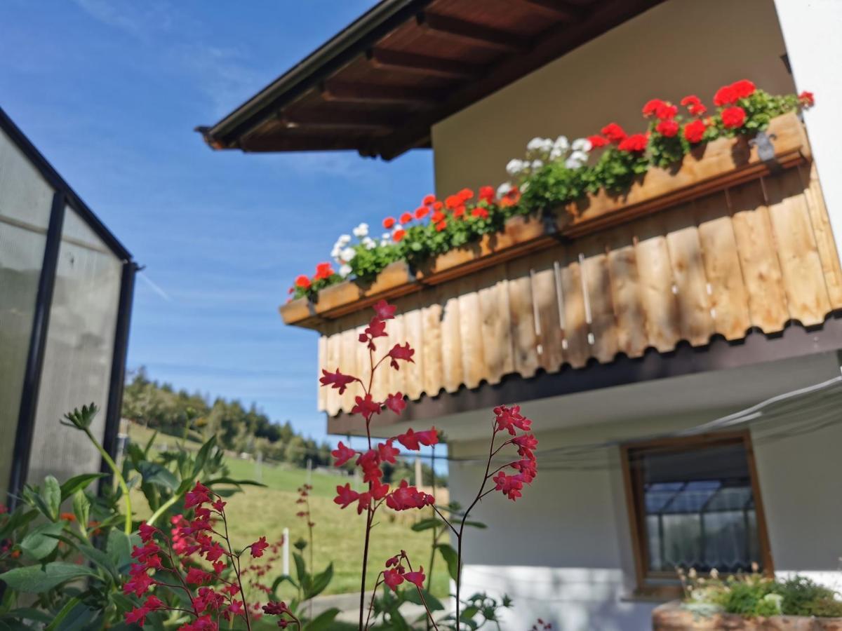 Bio-Bauernhof Mairinghof-Paris Villa Silandro Kültér fotó